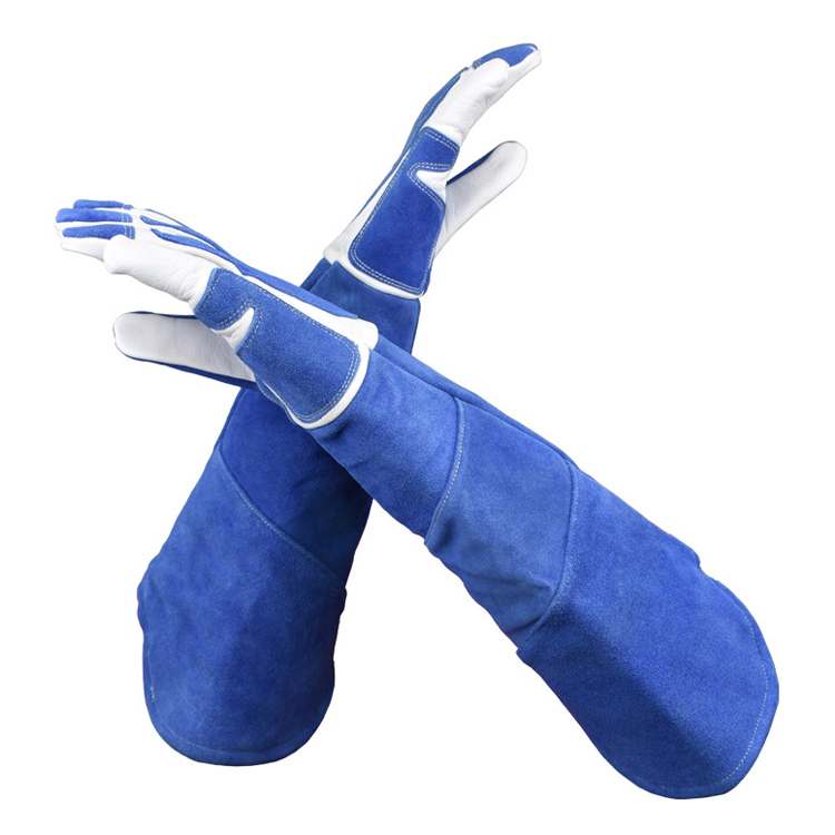 Mkpuchi mkpuchi agwọ maka anụ nkịta tara ihe na-egosi na gloves ejizi anụmanụ