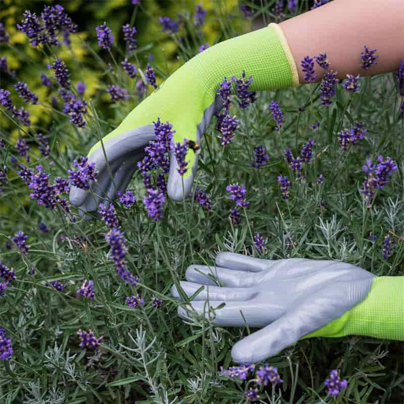 Erf Tuingereedskap Nitrilbedekte Dames Tuinhandskoene